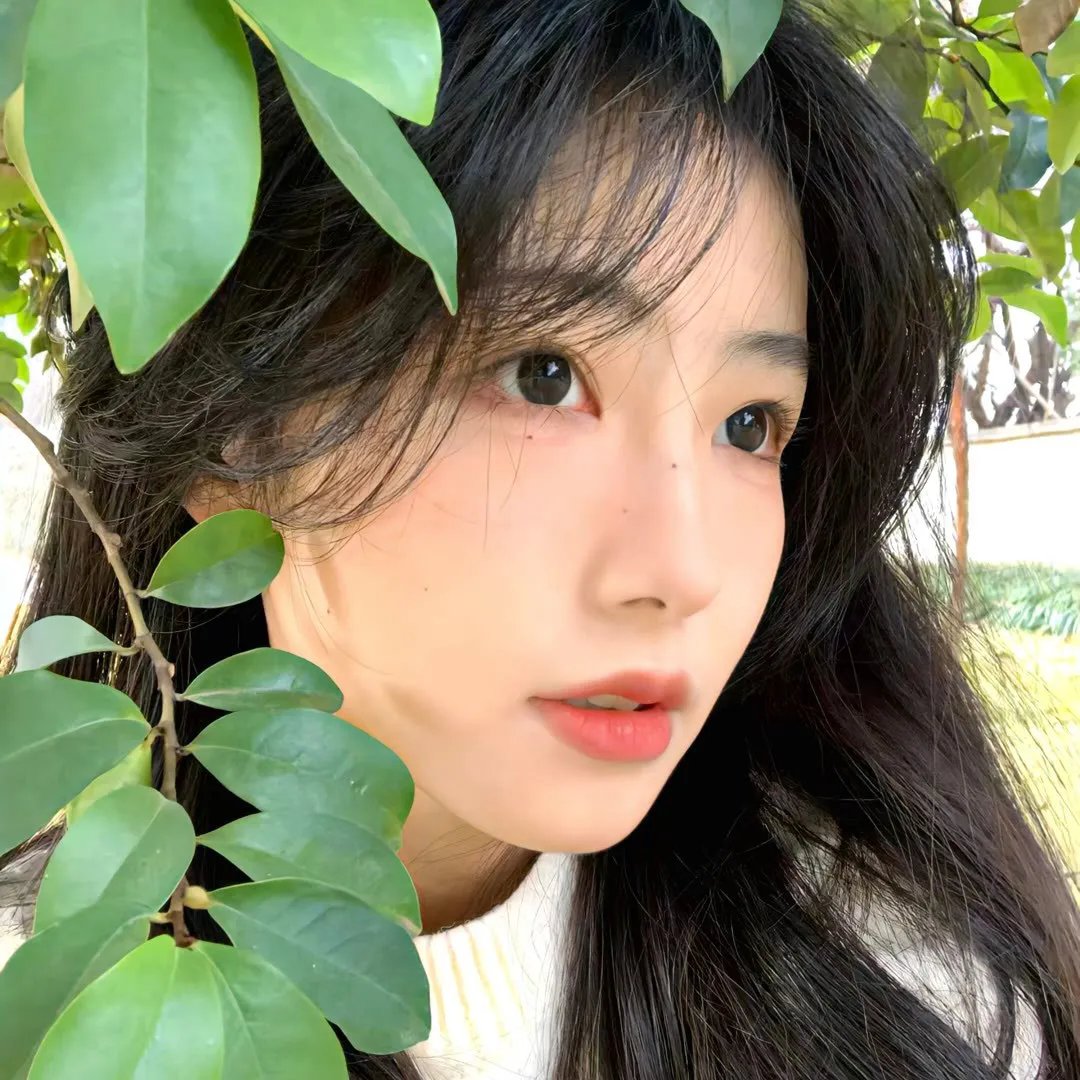 都是恋爱脑惹的祸